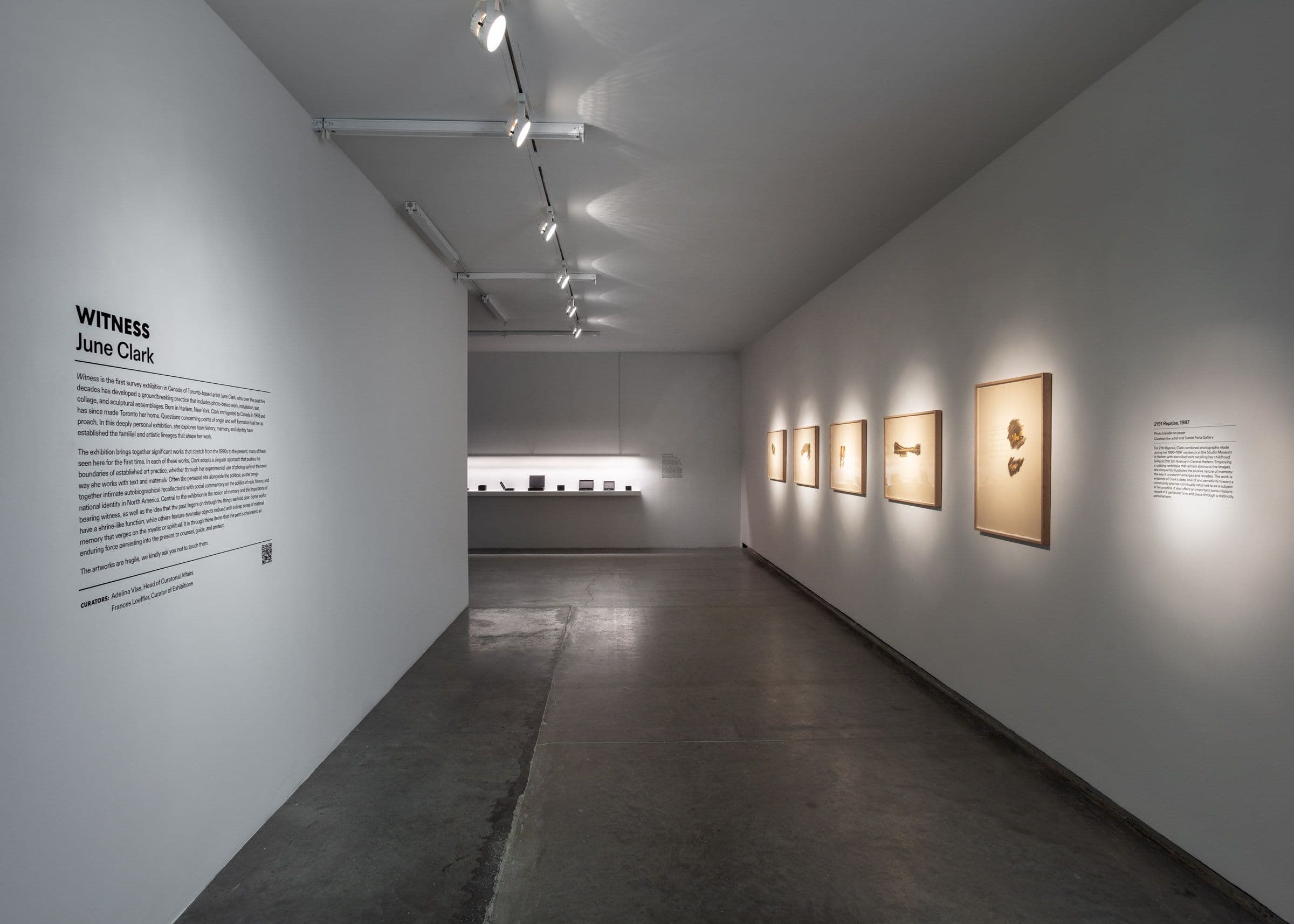 June Clark, Witness, 2024. Installation view: The Power Plant Contemporary Art Gallery, Toronto, 2024. Photo: LF Documentation.