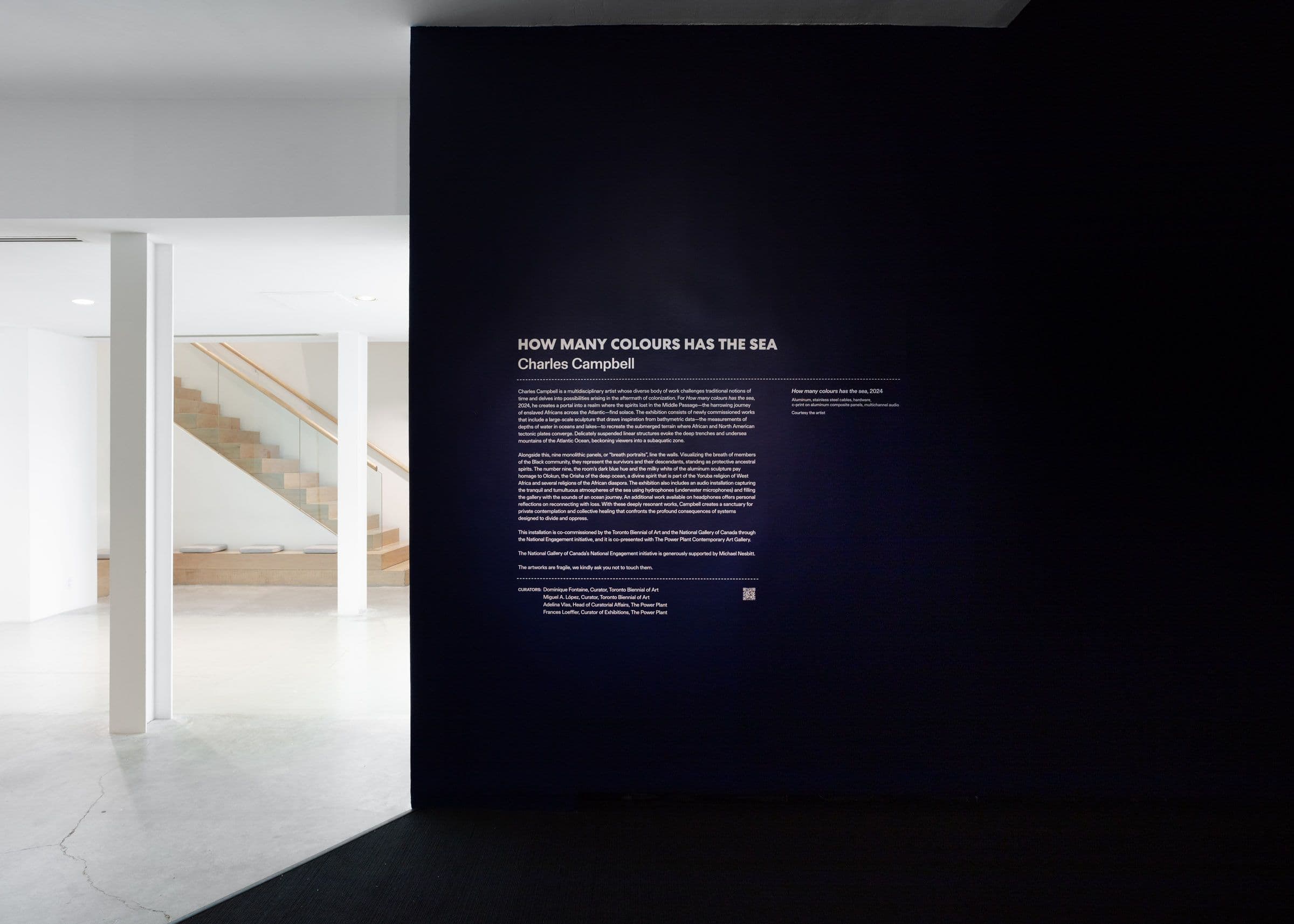 Charles Campbell, How many colours has the sea, 2024. Co-commissioned by the Toronto Biennial of Art and the National Gallery of Canada. Installation view: The Power Plant, Toronto, 2024. Photo: LF Documentation.