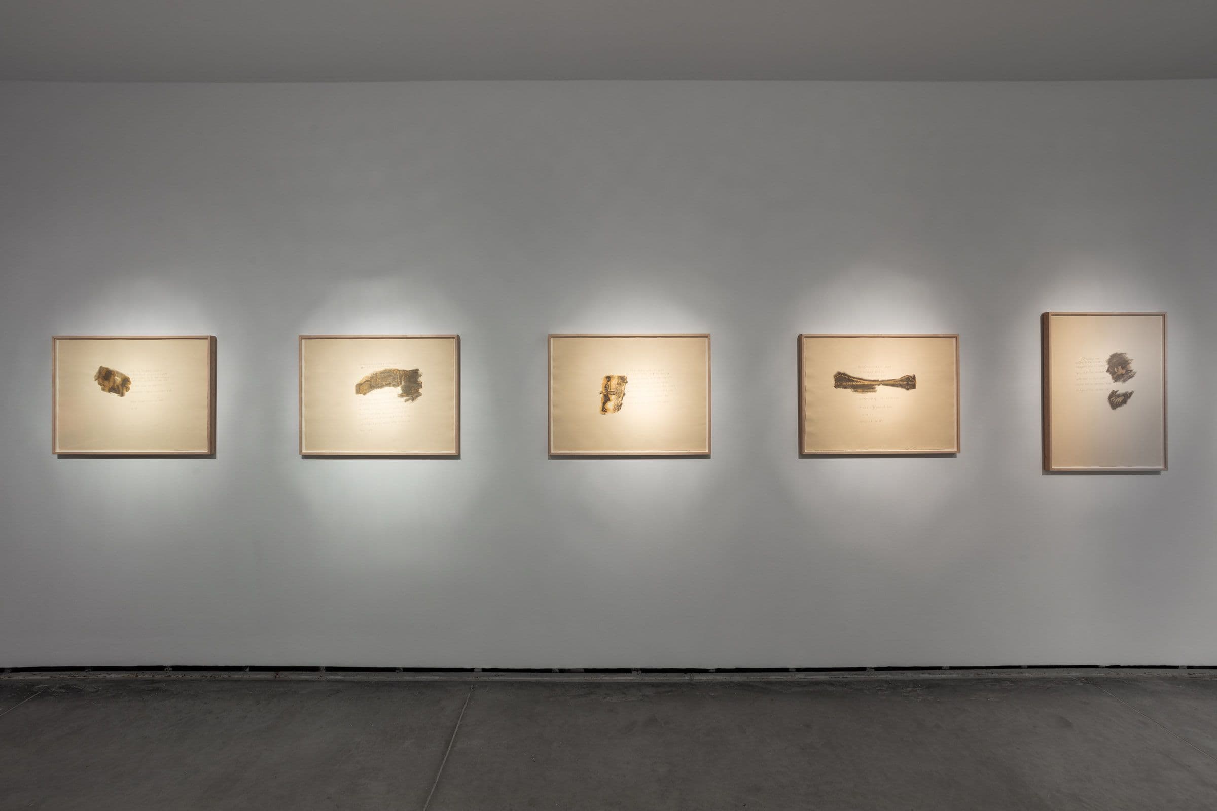 June Clark, 2191 Reprise, 1997. Photo transfer on paper. Courtesy the artist and Daniel Faria Gallery Installation view: Witness, The Power Plant Contemporary Art Gallery, Toronto, 2024. Photo: LF Documentation.