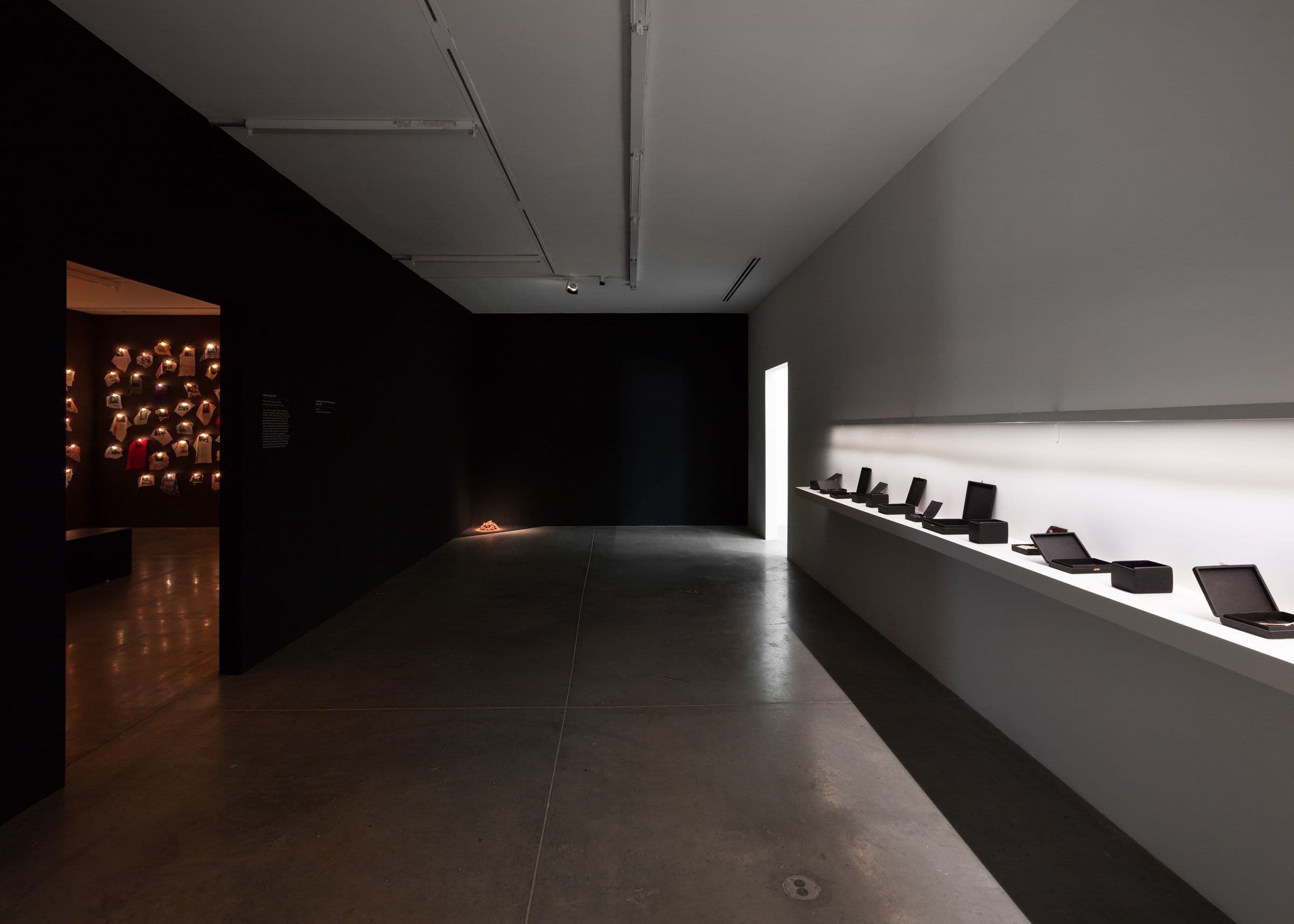 June Clark, Witness, 2024. Installation view: The Power Plant Contemporary Art Gallery, Toronto, 2024. Photo: LF Documentation.