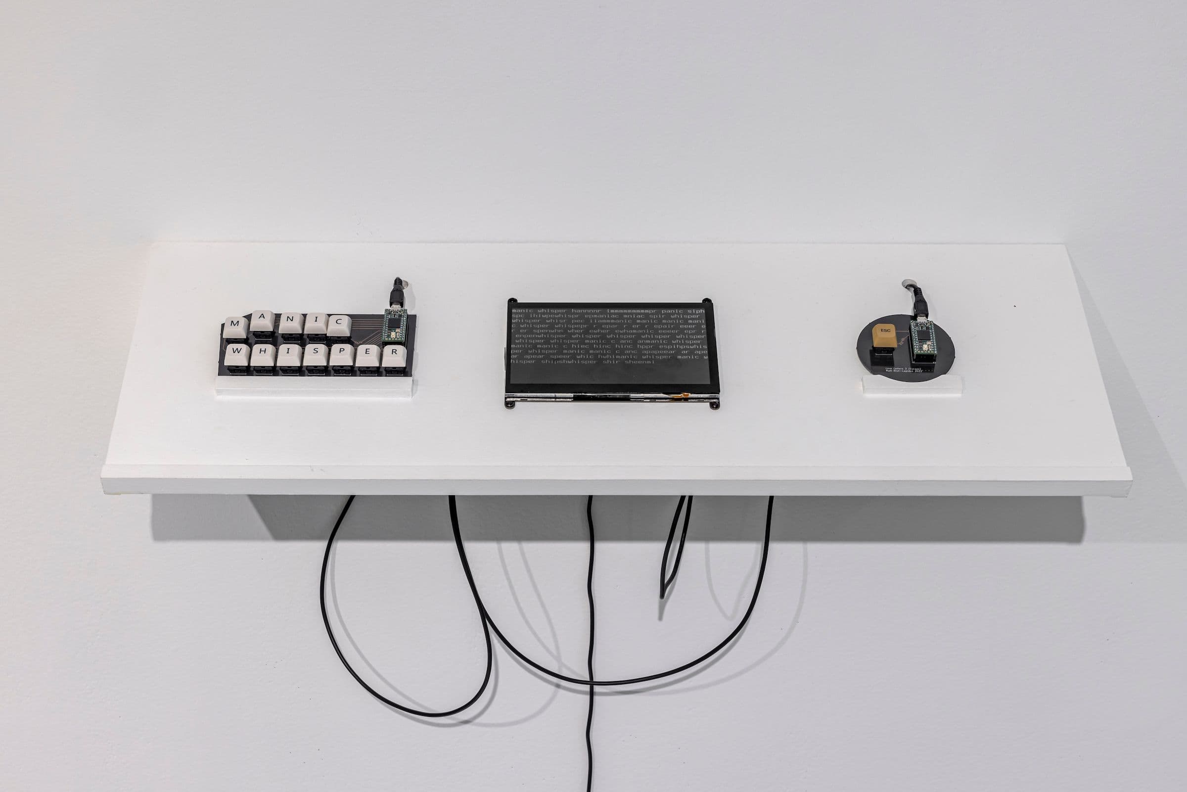 in parallel with works by Matt Nish-Lapidus. Installation view: The Power Plant, Toronto, 2023. Photo: Toni Hafkenscheid.