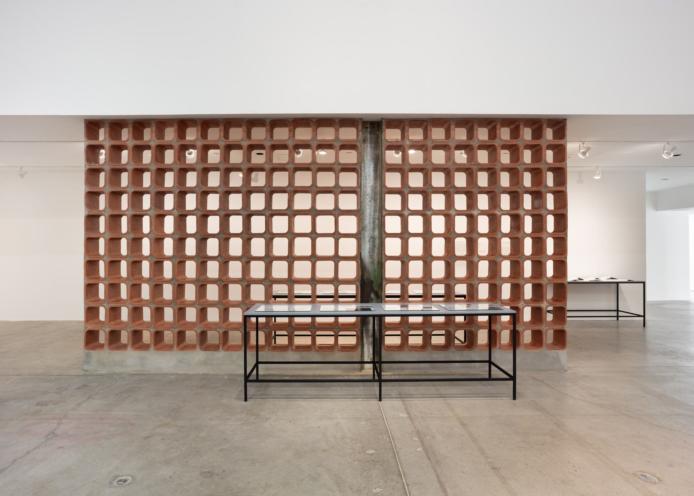 Terence Gower, Embassy, 2024. Installation view: The Power Plant Contemporary Art Gallery, Toronto, 2024. Photo: LF Documentation.