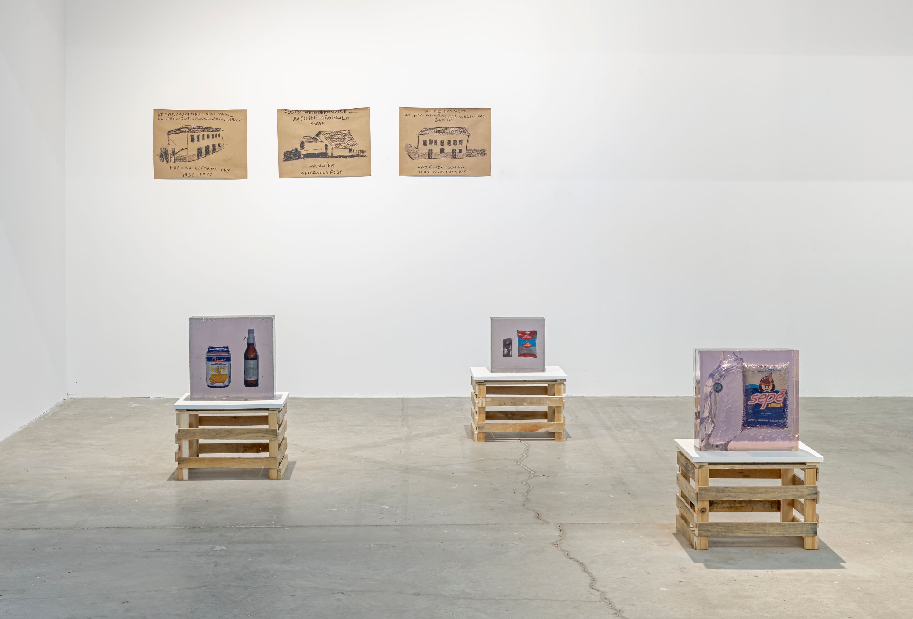 Paulo Nazareth, STROKE, 2022. Installation view: The Power Plant, Toronto, 2022. Photo: Toni Hafkenscheid.