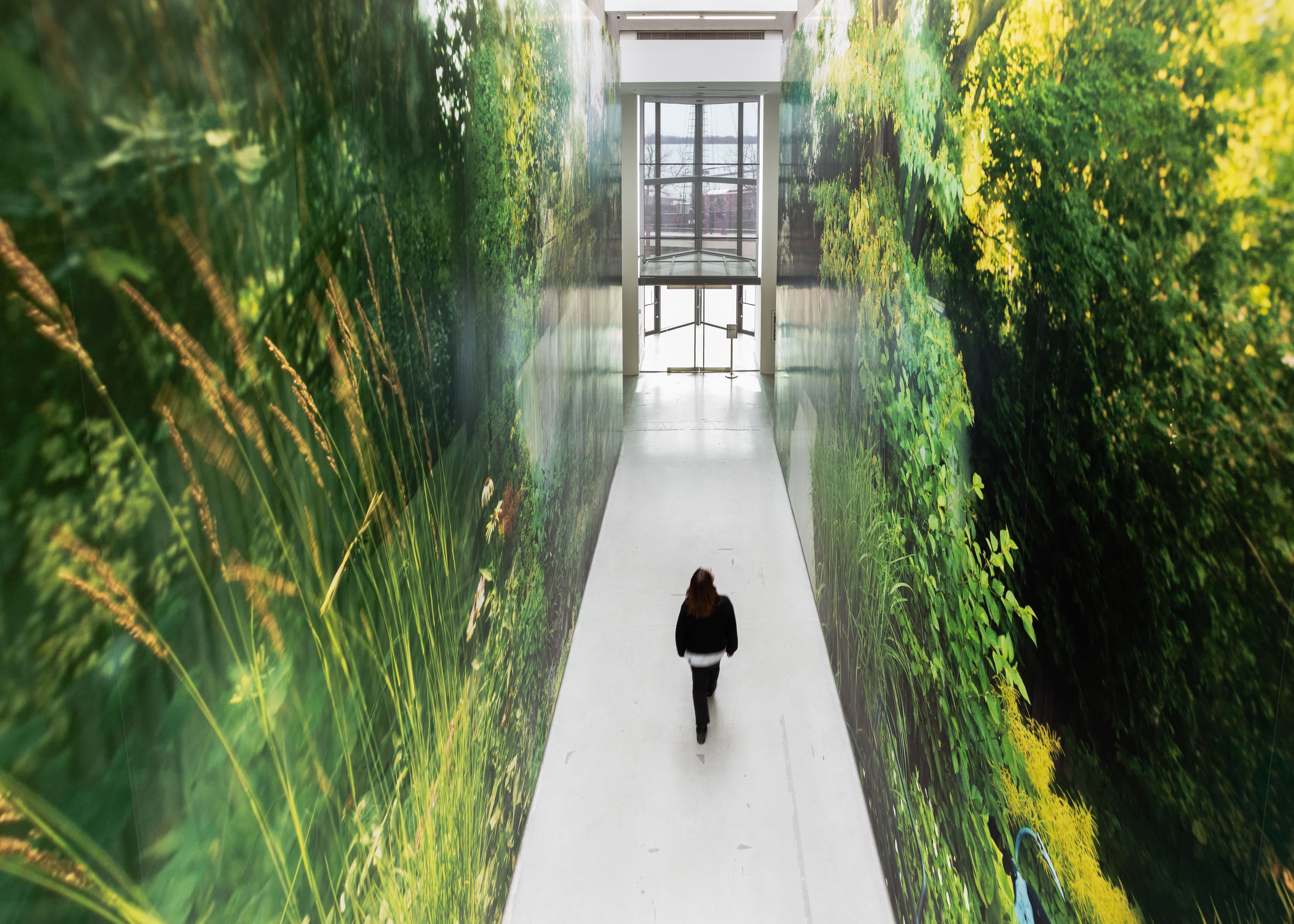 Emmanuel Osahor, Sylvia's Garden, Version II, 2025. Photographic wallpaper mural. Commissioned by The Power Plant Contemporary Art Gallery, 2025.