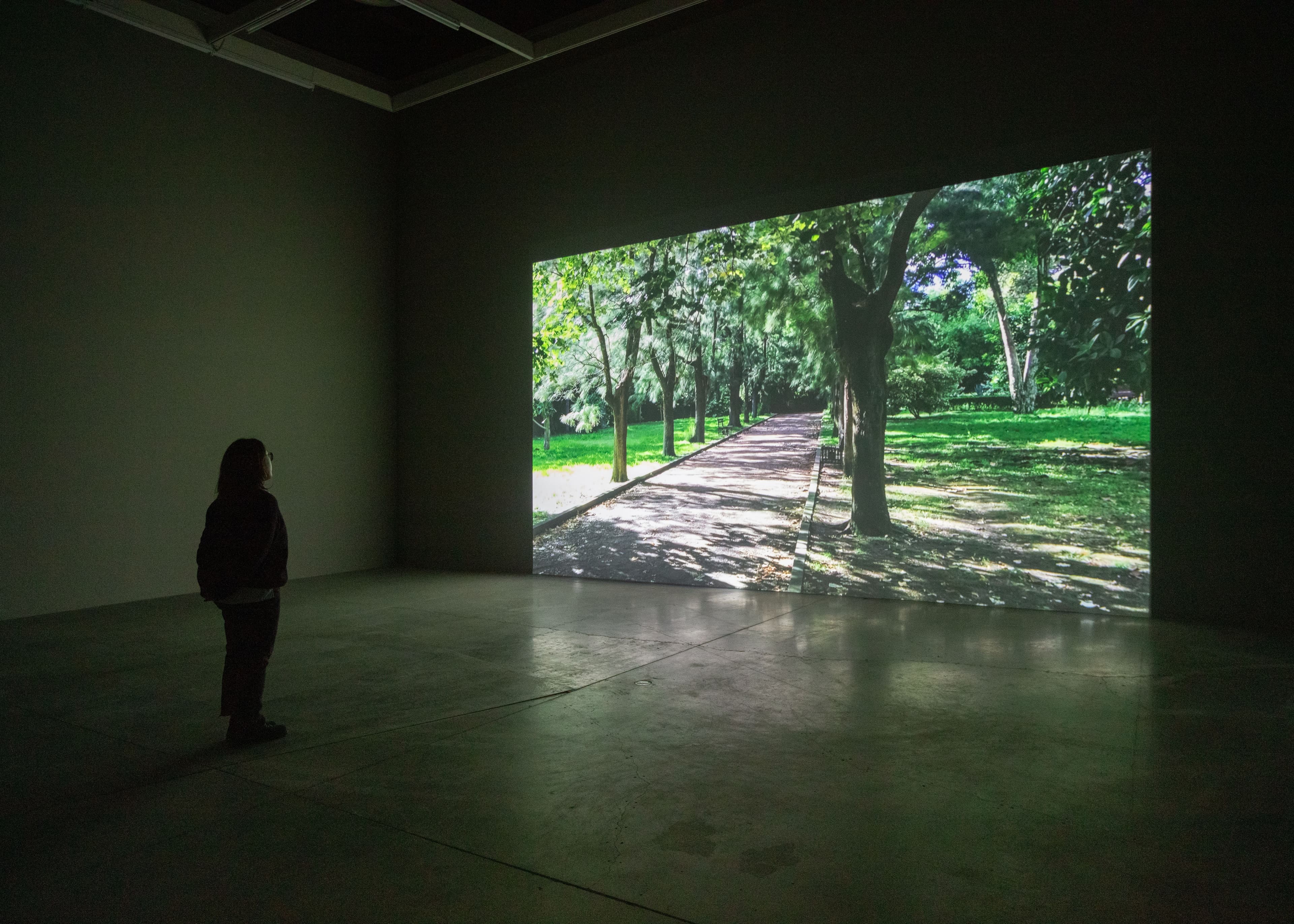 Shelagh Keeley, Jardim do Ultramar / The Colonial Garden, Lisbon, Portugal, 2016.