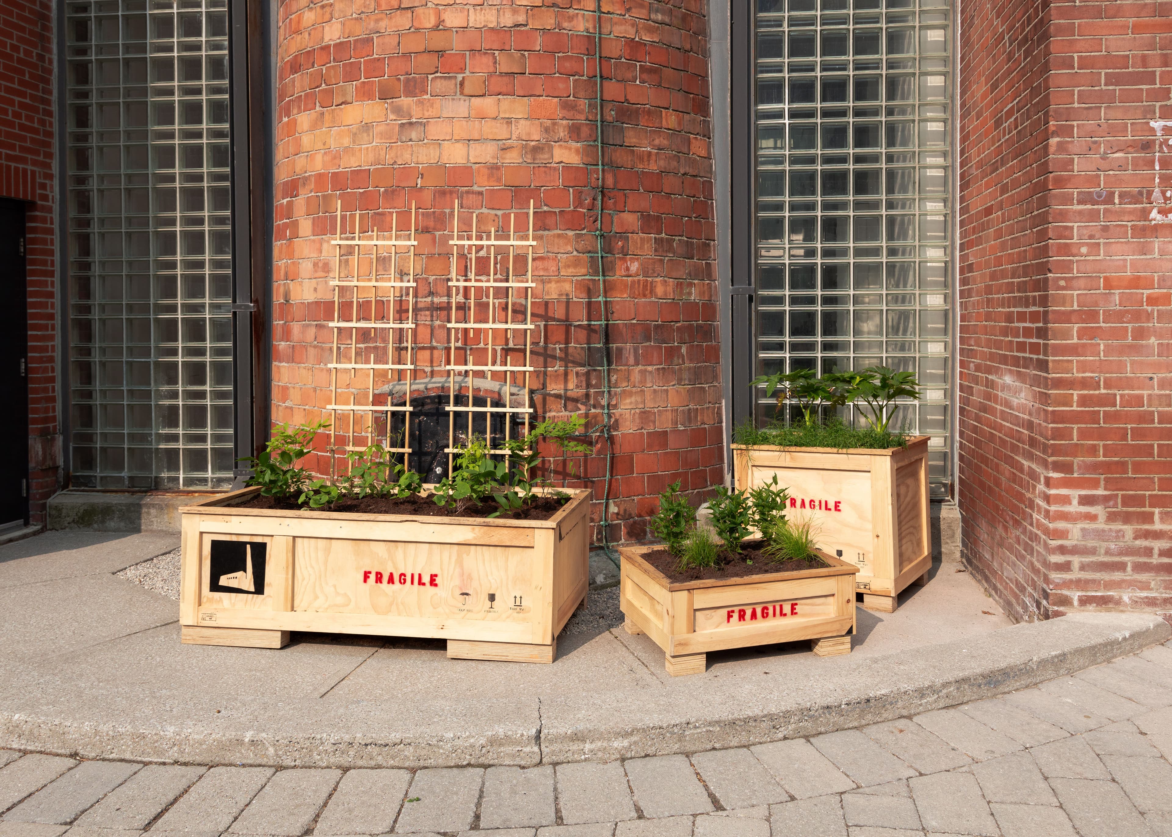 Smokestack Garden 2025: A collaboration between The Power Plant and Bowery Project. Photo: LF Documentation.