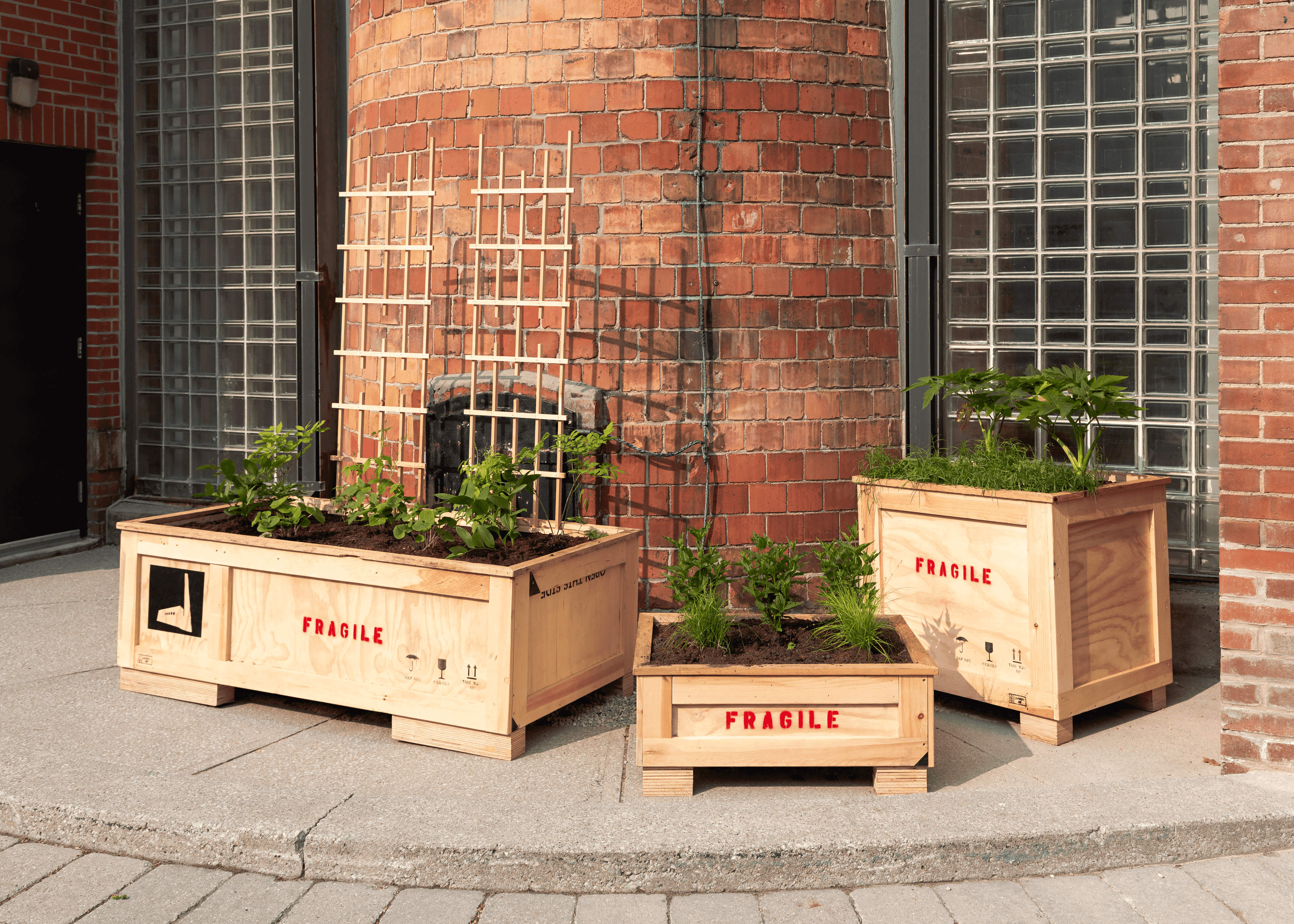 Smokestack Garden 2025: A collaboration between The Power Plant and Bowery Project, 2025. Photo: LF Documentation.