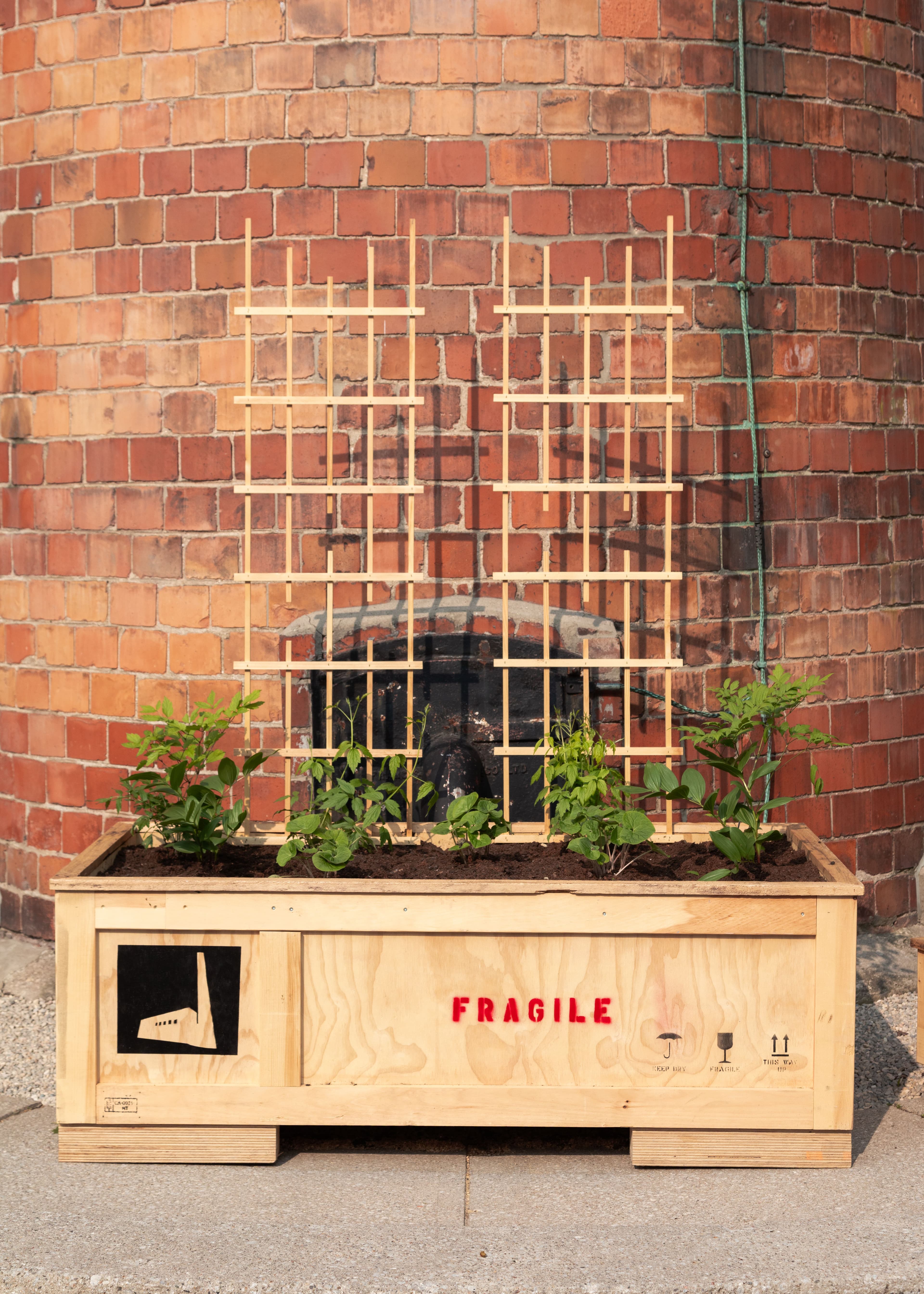 Smokestack Garden 2025: A collaboration between The Power Plant and Bowery Project. Photo: LF Documentation.