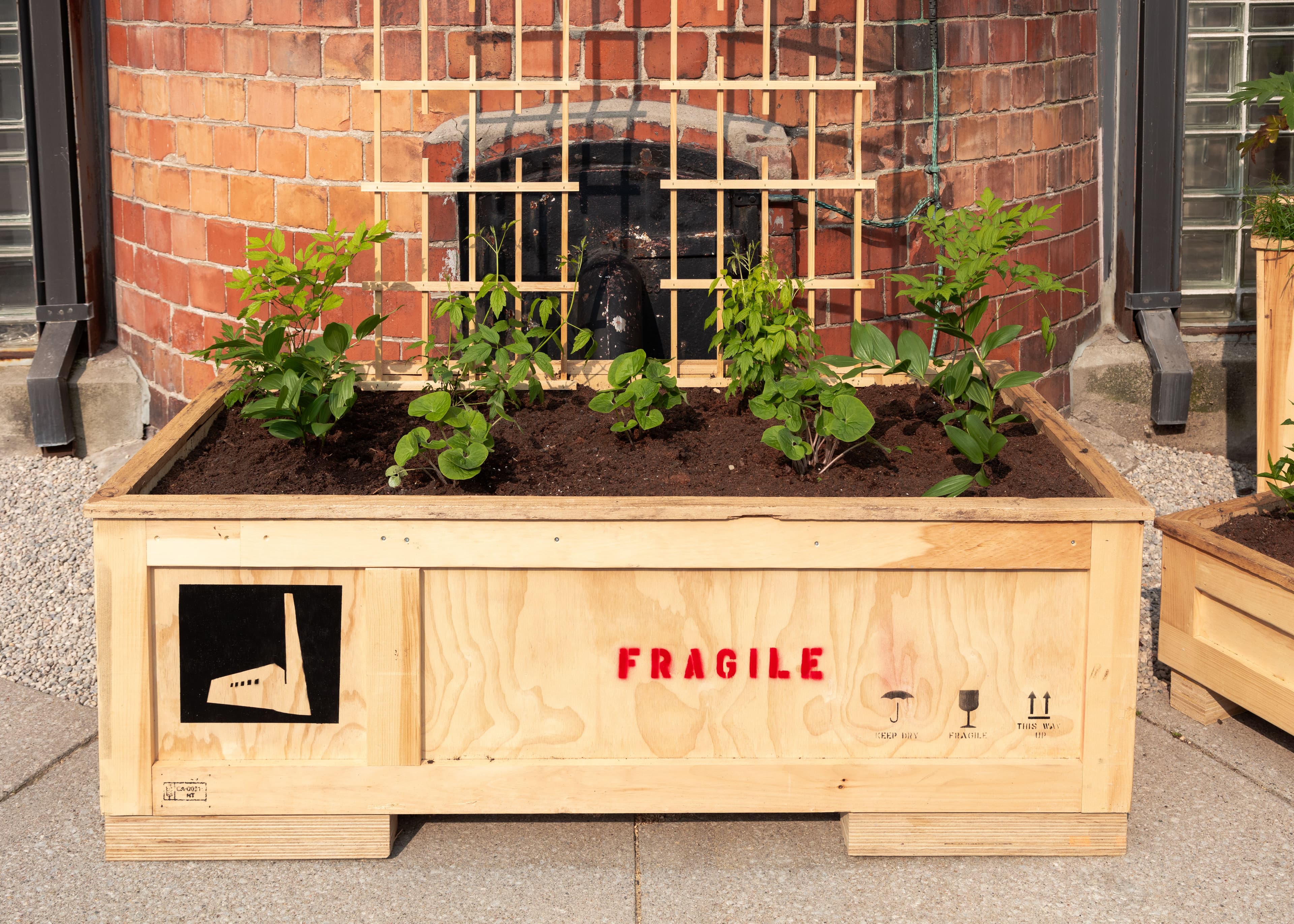 Smokestack Garden 2025: A collaboration between The Power Plant and Bowery Project. Photo: LF Documentation.