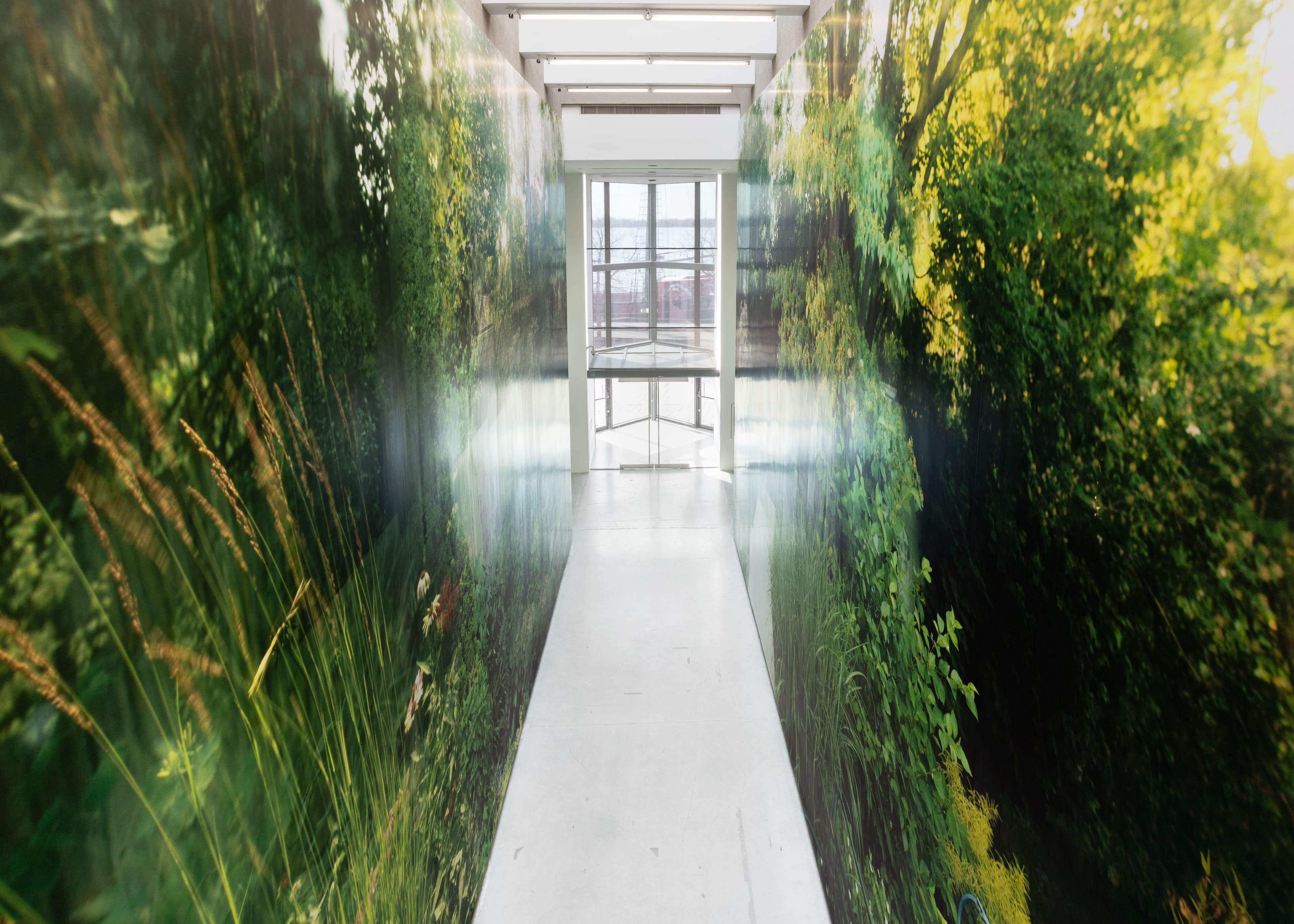 Emmanuel Osahor, Sylvia's Garden, Version II, 2025. Photographic wallpaper mural. Commissioned by The Power Plant Contemporary Art Gallery, 2025.