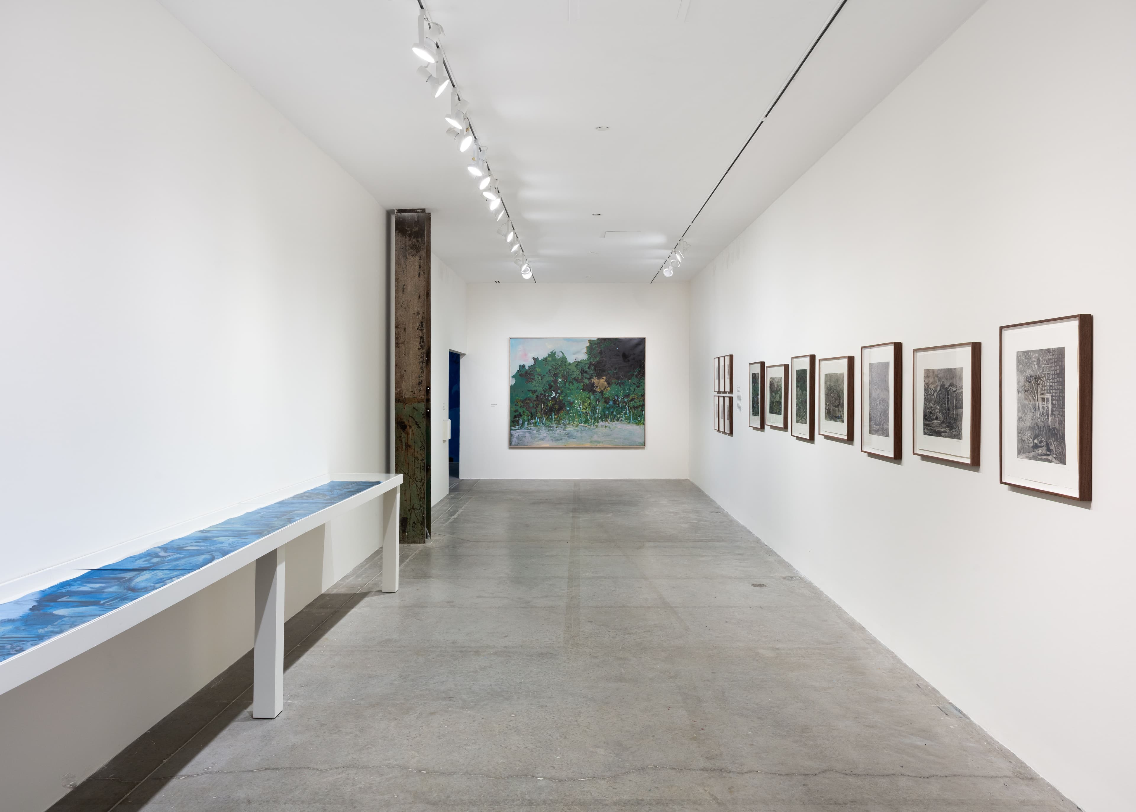 Emmanuel Osahor, To dream of other places, 2025. Installation view: The Power Plant, Toronto, 2025. Photo: LF Documentation.