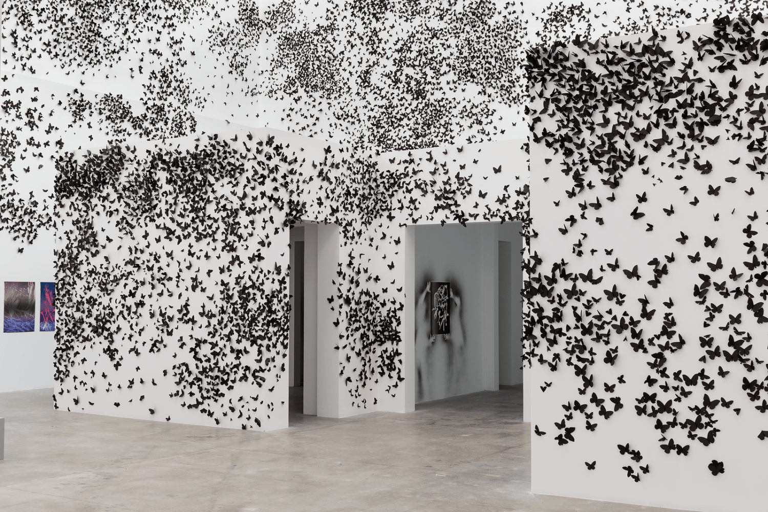 Carlos Amorales, Black Cloud, 2007/2015. Installation view: Museum Kunst der Westküste, Alkersum, 2015. Courtesy of Diane and Bruce Halle Collection. Photo: Lukas Spörl.
