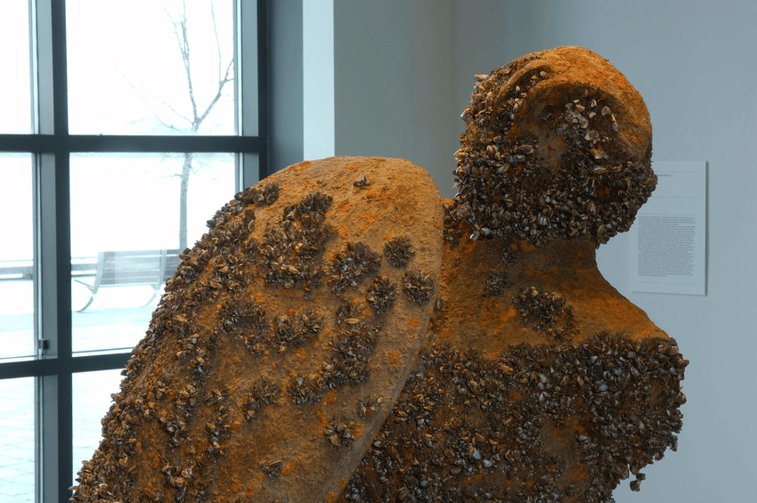 Simon-Starling-Infestation-Piece-Musselled-Moore-2006-8-steel-and-mussels-1626-x.png